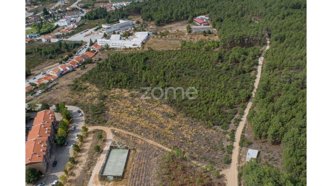 Terreno para Venda em Sabrosa Foto 16