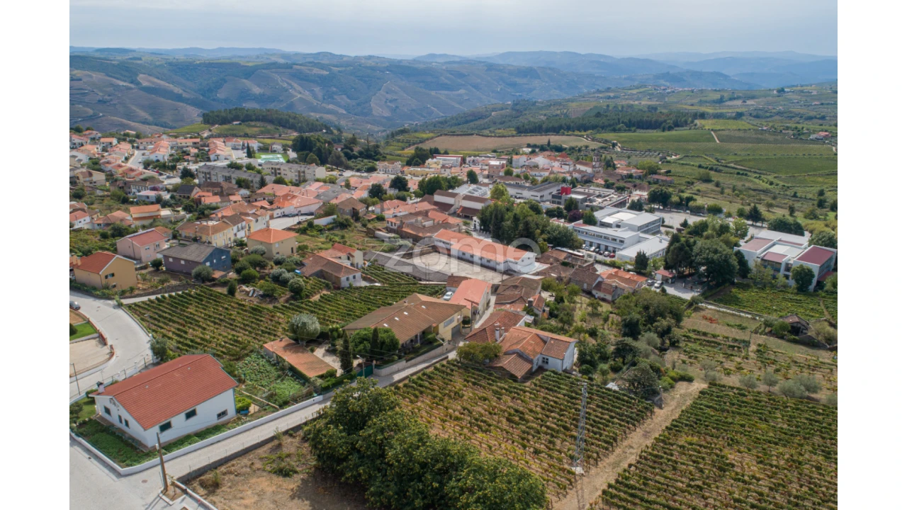 Terreno para Venda em Sabrosa Foto 23