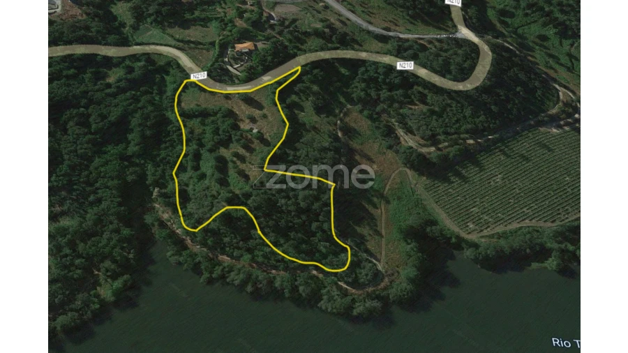 Terreno para Venda em Várzea, Aliviada e Folhada Foto 10