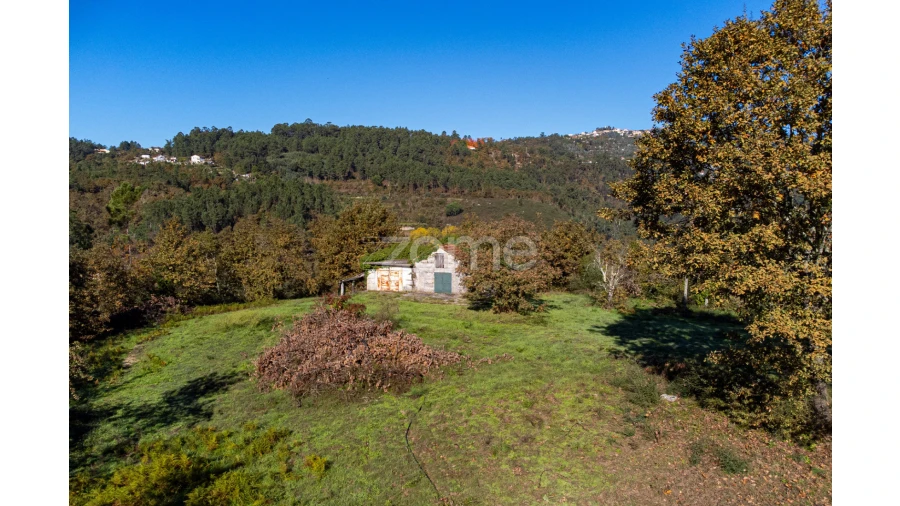 Terreno para Venda em Várzea, Aliviada e Folhada Foto 14