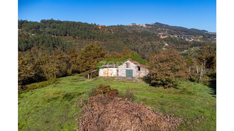 Terreno para Venda em Várzea, Aliviada e Folhada