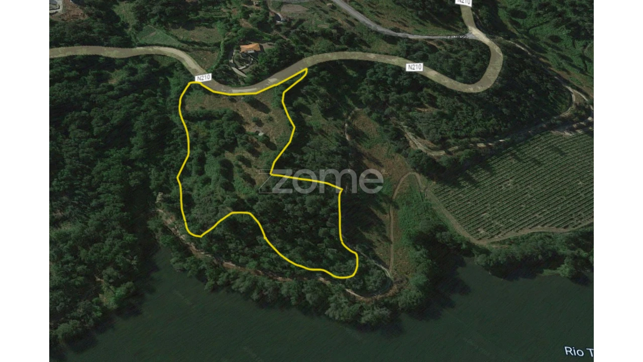 Terreno para Venda em Várzea, Aliviada e Folhada Foto 10