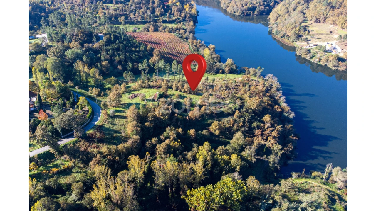 Terreno para Venda em Várzea, Aliviada e Folhada Foto 9