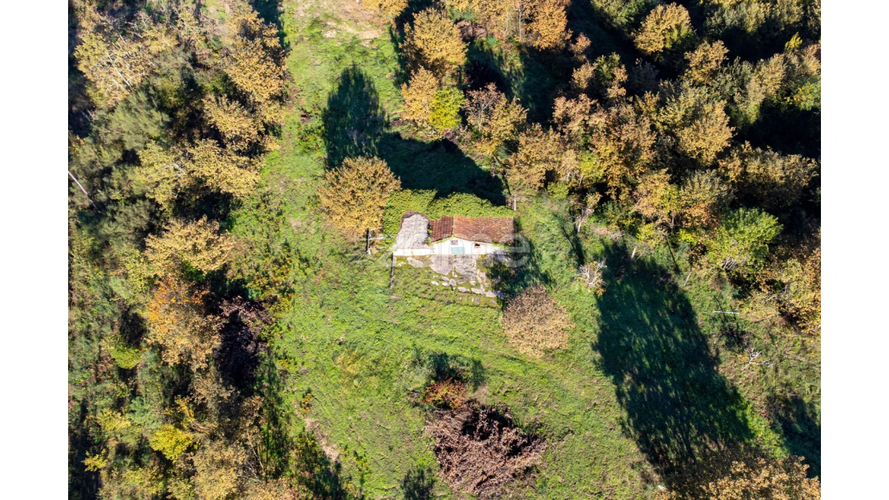 Terreno para Venda em Várzea, Aliviada e Folhada Foto 16