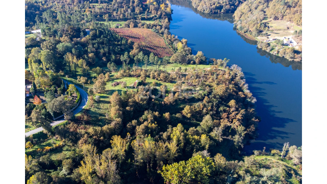 Terreno para Venda em Várzea, Aliviada e Folhada Foto 8