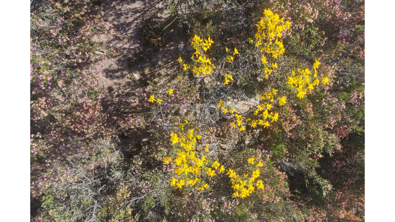 Terreno para Venda em Recarei Foto 23