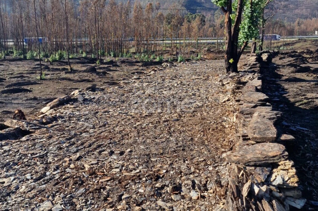 Terreno para Venda em Recarei Foto 5