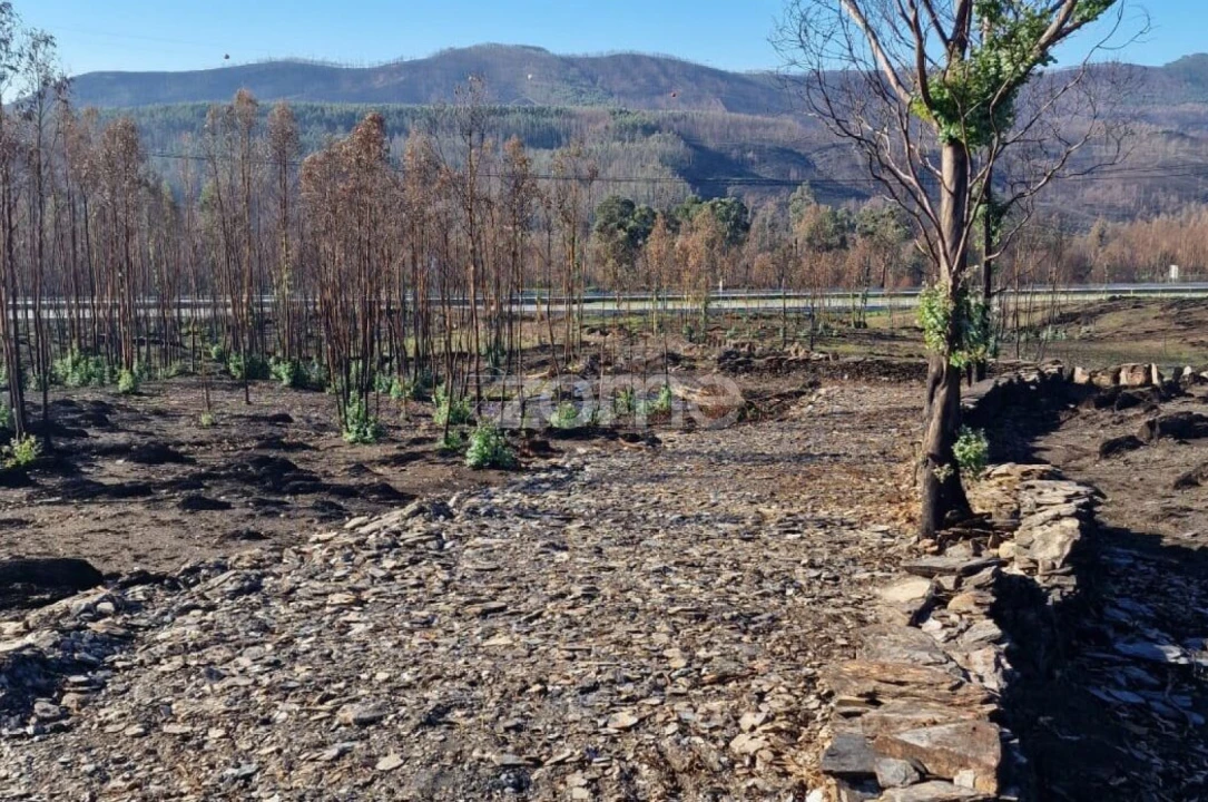 Terreno para Venda em Recarei Foto 11