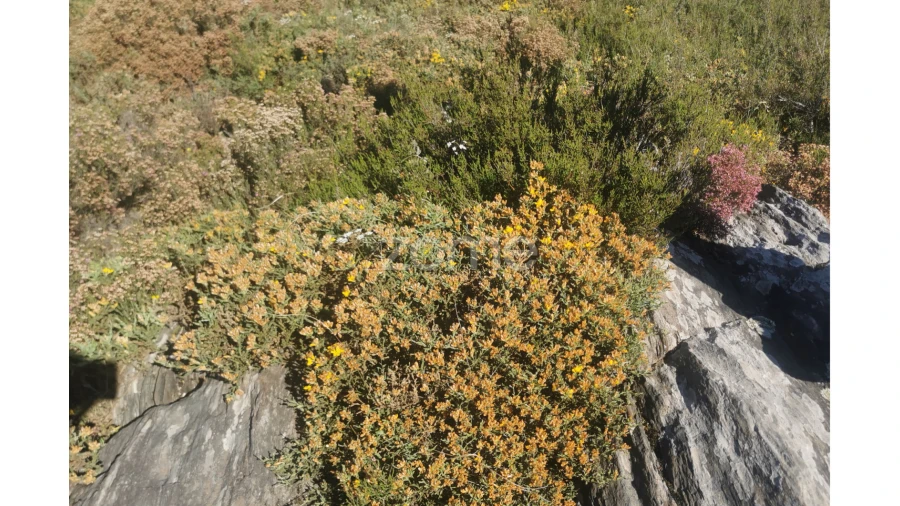 Terreno para Venda em Recarei Foto 22