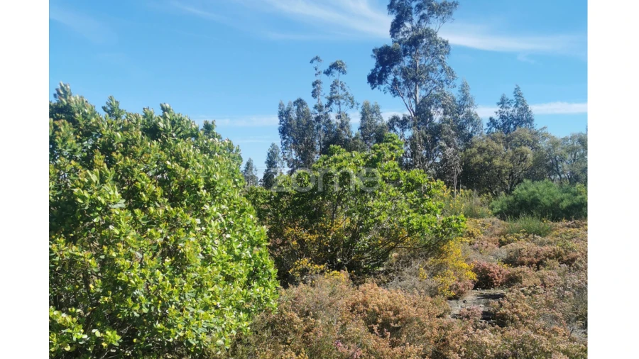Terreno para Venda em Recarei Foto 24