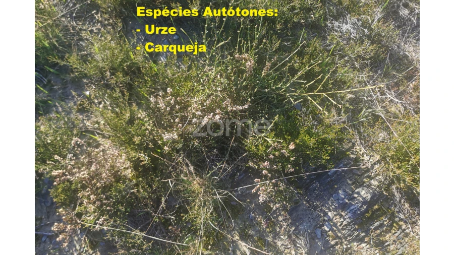 Terreno para Venda em Recarei Foto 20