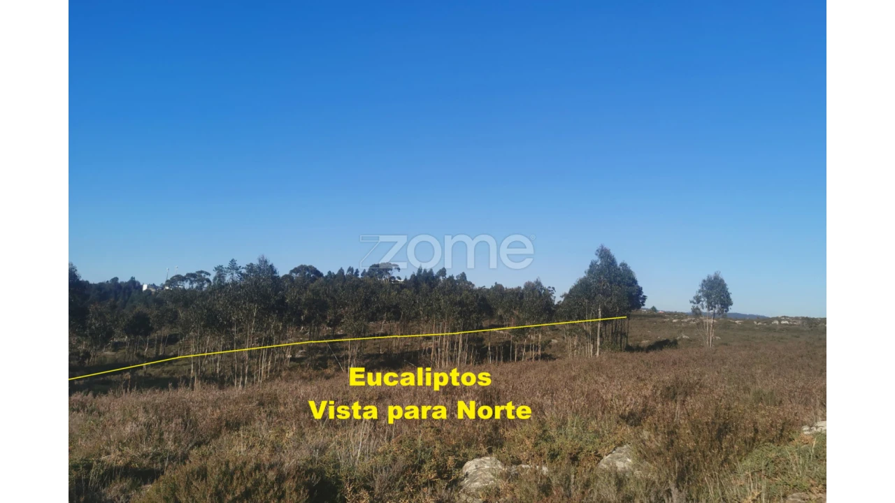 Terreno para Venda em Recarei Foto 16