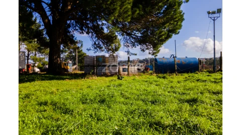 Terreno para Venda em Antas