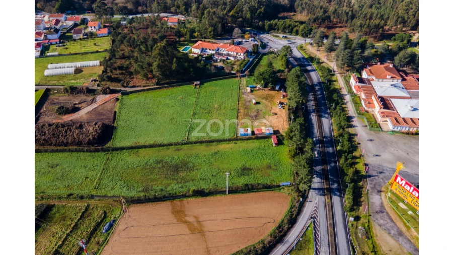 Terreno para Venda em Antas Foto 5