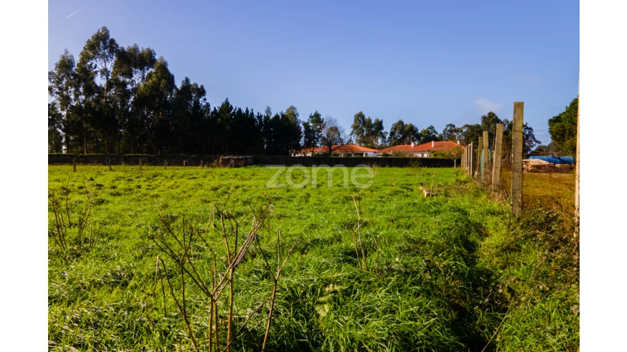 Terreno para Venda em Antas Foto 10