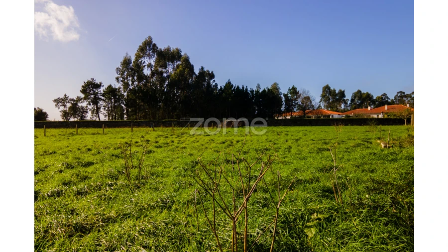 Terreno para Venda em Antas Foto 12