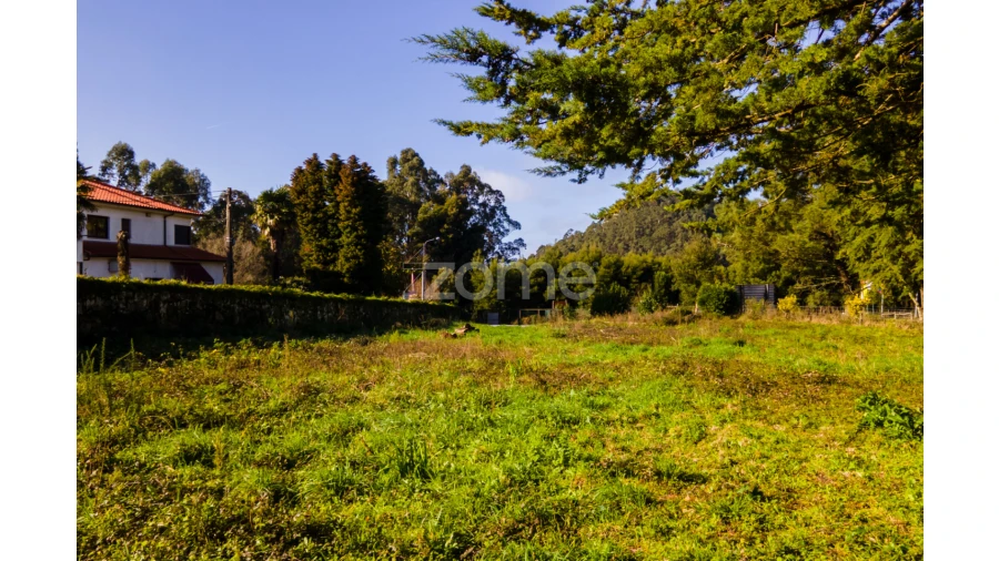 Terreno para Venda em Antas Foto 17