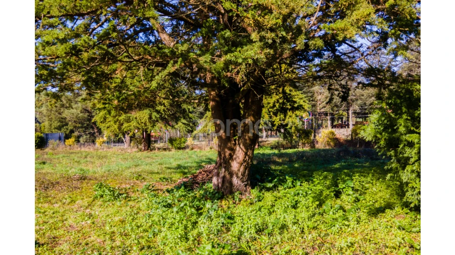Terreno para Venda em Antas Foto 18