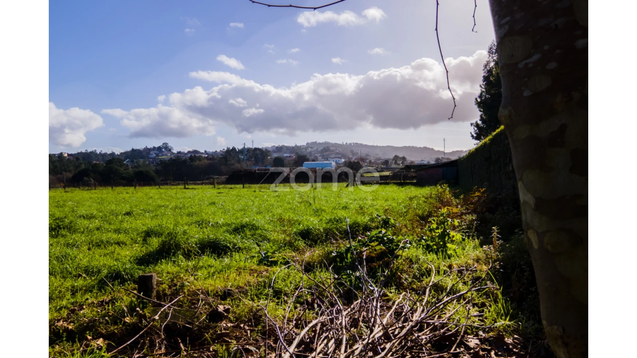 Terreno para Venda em Antas Foto 9