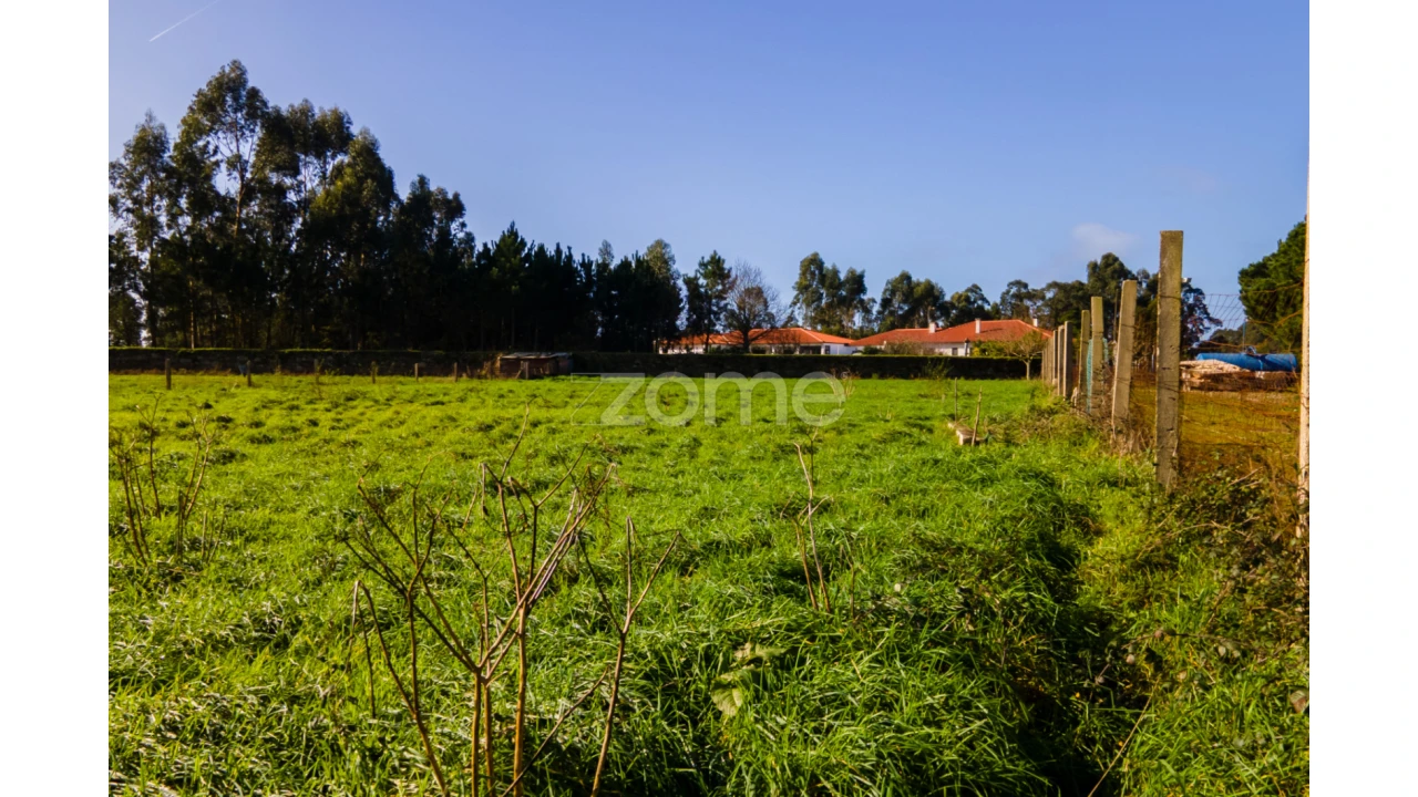 Terreno para Venda em Antas Foto 10