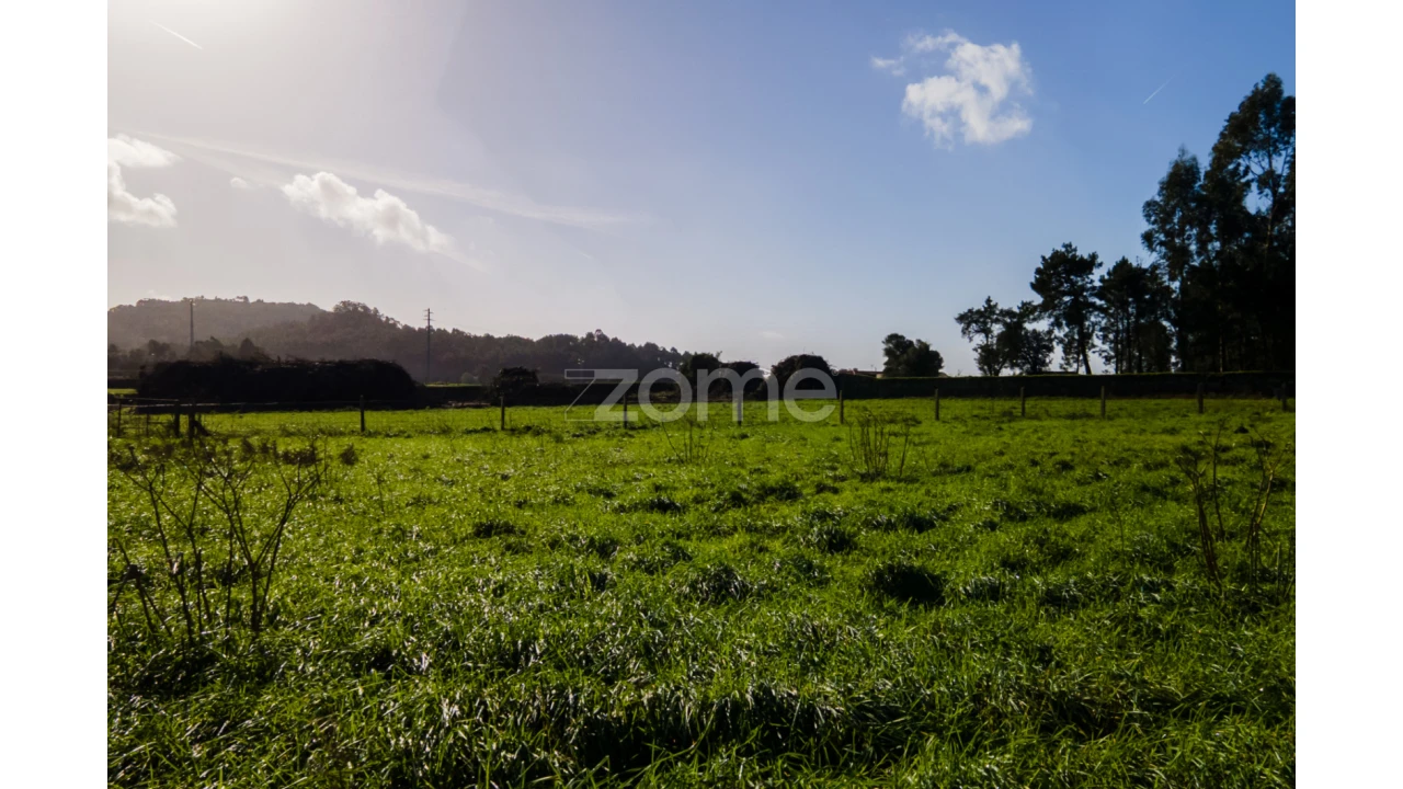 Terreno para Venda em Antas Foto 11