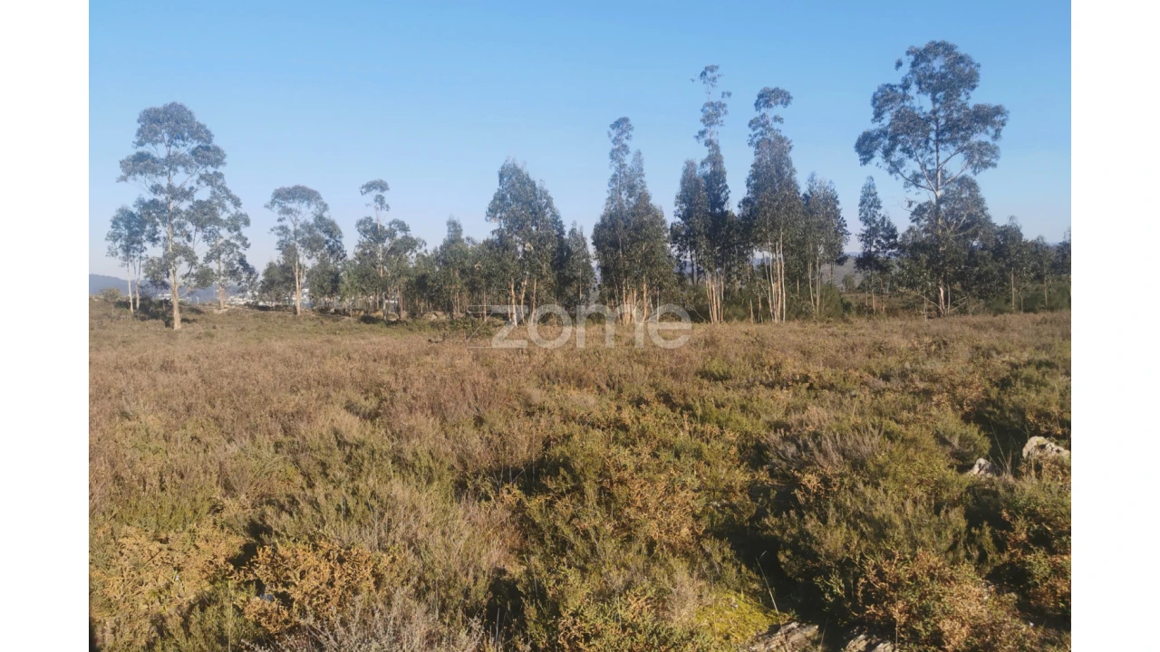 Terreno para Arrendamento em Recarei Foto 22