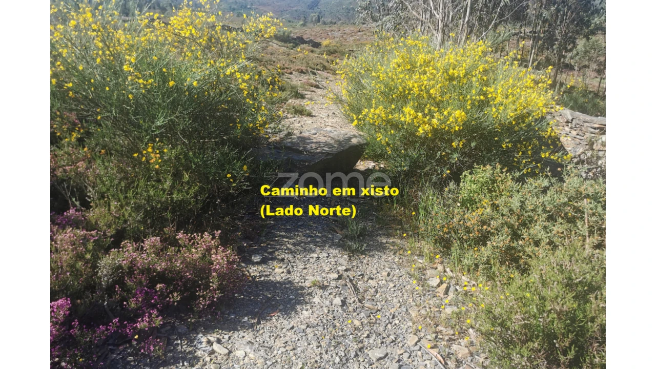 Terreno para Arrendamento em Recarei Foto 39