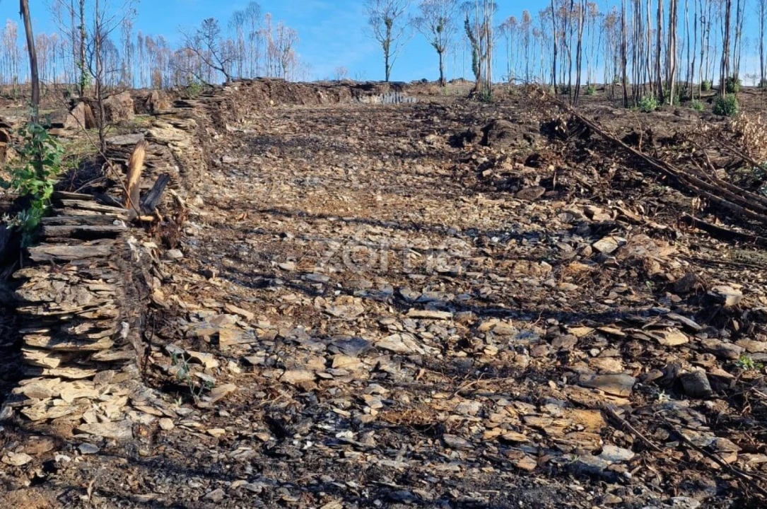 Terreno para Arrendamento em Recarei Foto 12