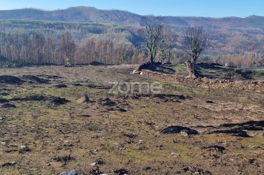 Terreno para Arrendamento em Recarei Foto 19