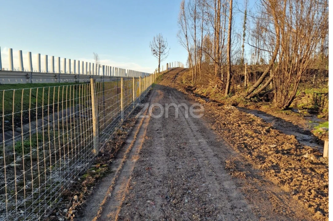 Terreno para Arrendamento em Recarei Foto 57