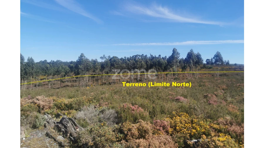 Terreno para Arrendamento em Recarei Foto 10