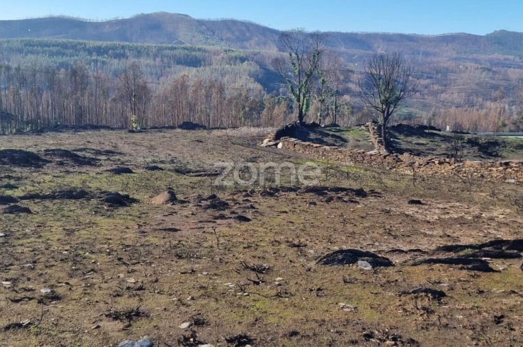 Terreno para Arrendamento em Recarei Foto 19