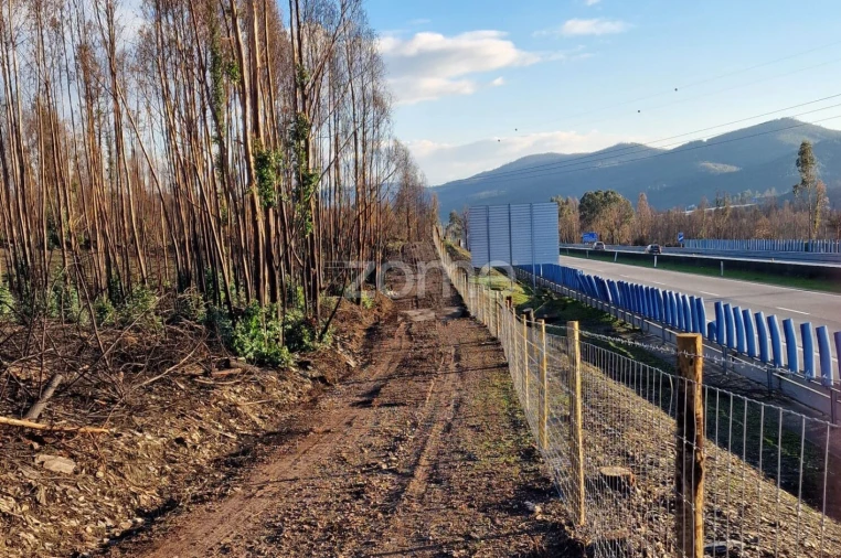 Terreno para Arrendamento em Recarei Foto 62