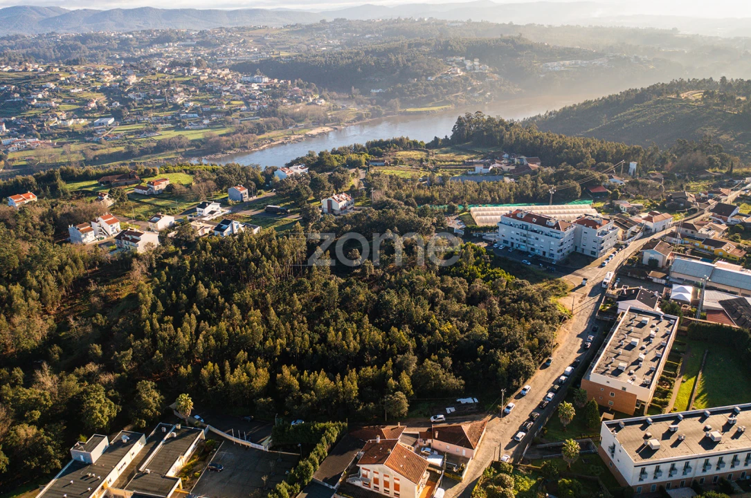 Terreno para Venda em Avintes Foto 16