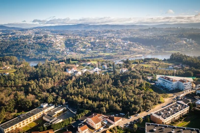 Terreno para Venda em Avintes