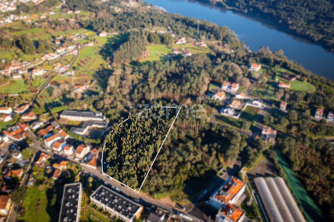Terreno para Venda em Avintes Foto 10