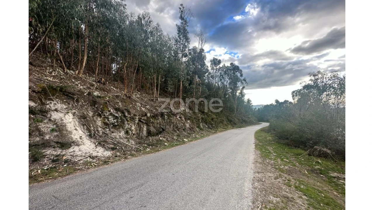 Terreno para Venda em Fonte Arcada e Oliveira Foto 13