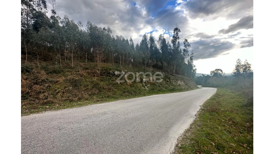 Terreno para Venda em Fonte Arcada e Oliveira Foto 2