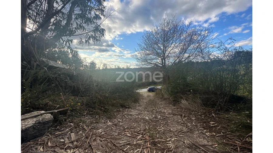 Terreno para Venda em Fonte Arcada e Oliveira Foto 6