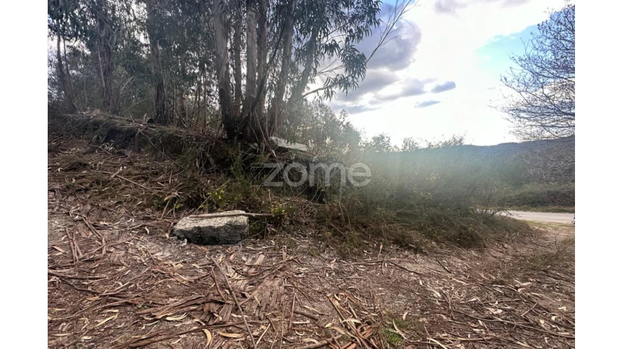 Terreno para Venda em Fonte Arcada e Oliveira Foto 10