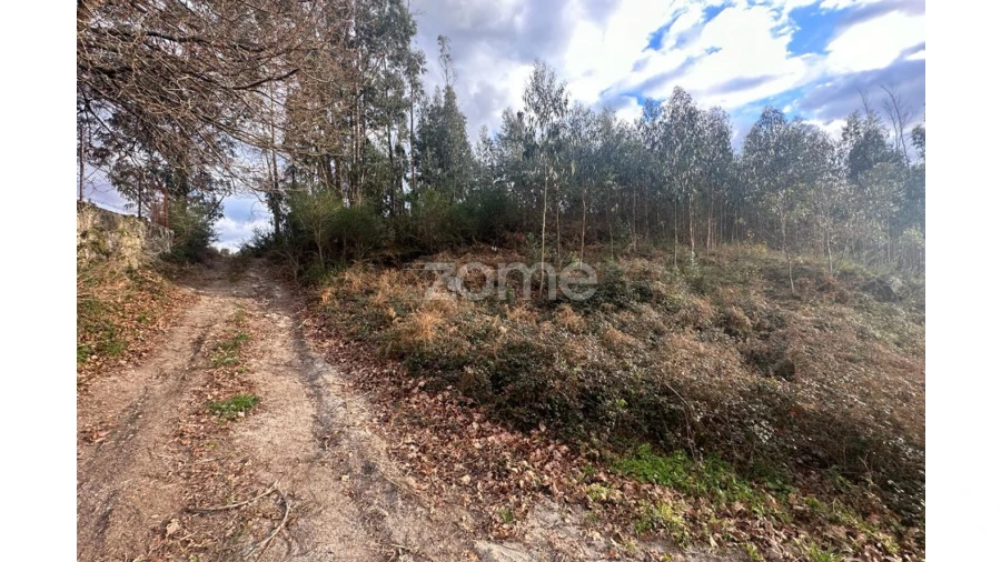 Terreno para Venda em Fonte Arcada e Oliveira Foto 1
