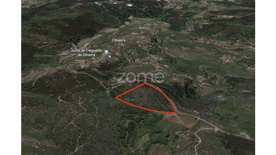 Terreno para Venda em Fonte Arcada e Oliveira Foto 3