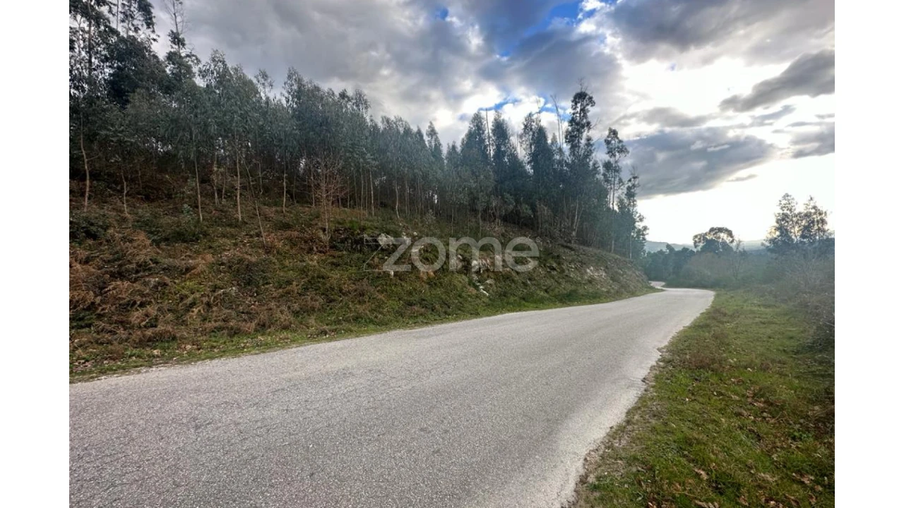 Terreno para Venda em Fonte Arcada e Oliveira Foto 2