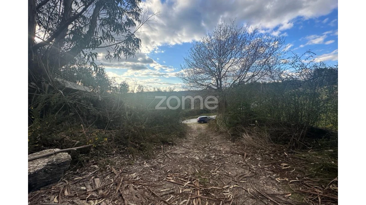 Terreno para Venda em Fonte Arcada e Oliveira Foto 6