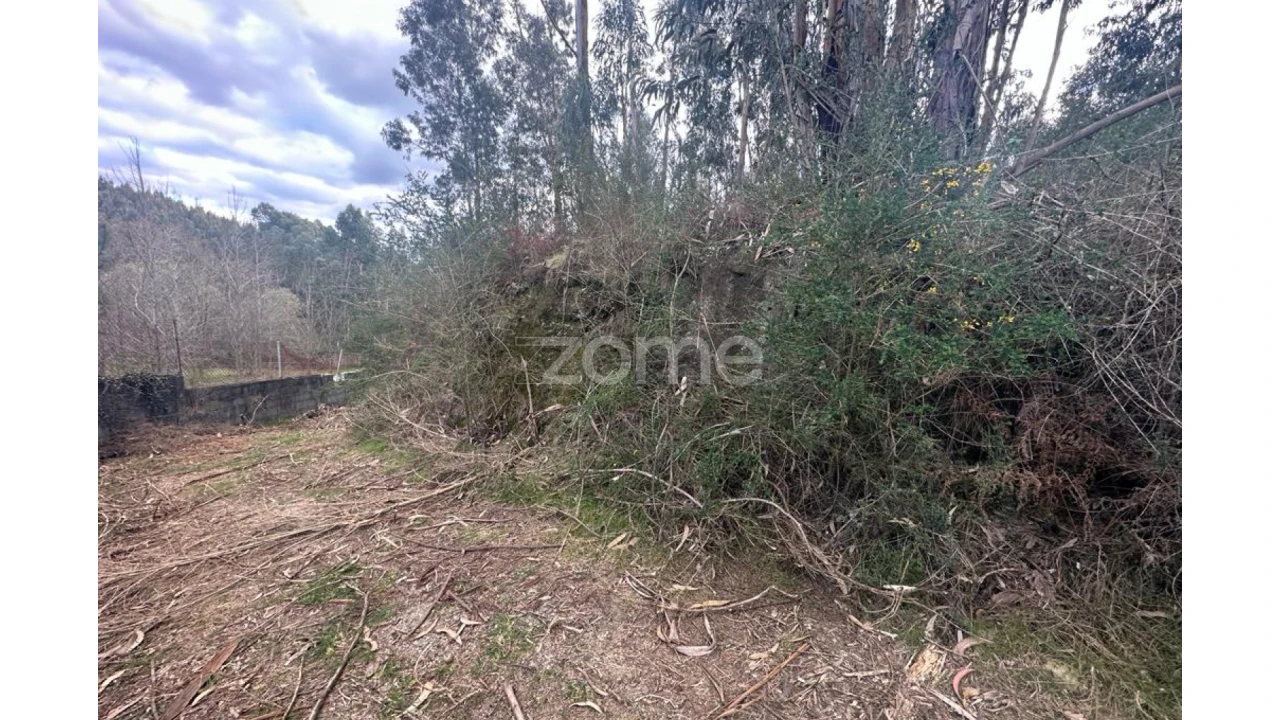 Terreno para Venda em Fonte Arcada e Oliveira Foto 8