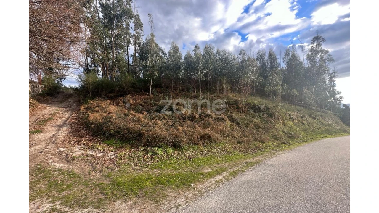 Terreno para Venda em Fonte Arcada e Oliveira Foto 5
