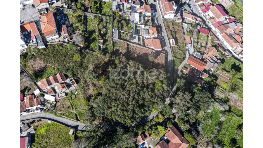 Terreno para Venda em Pedroso e Seixezelo Foto 5