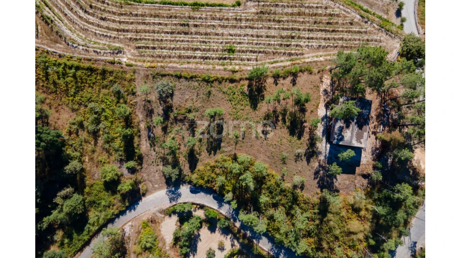 Terreno para Venda em Amarante (São Gonçalo), Madalena, Cepelos e Gatão Foto 13