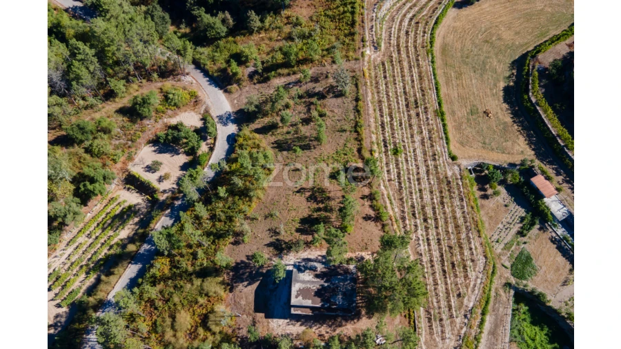 Terreno para Venda em Amarante (São Gonçalo), Madalena, Cepelos e Gatão Foto 8