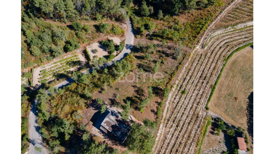 Terreno para Venda em Amarante (São Gonçalo), Madalena, Cepelos e Gatão Foto 9
